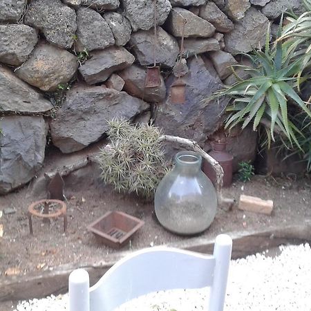 Il Tarlo Bed & Breakfast Seneghe Ngoại thất bức ảnh